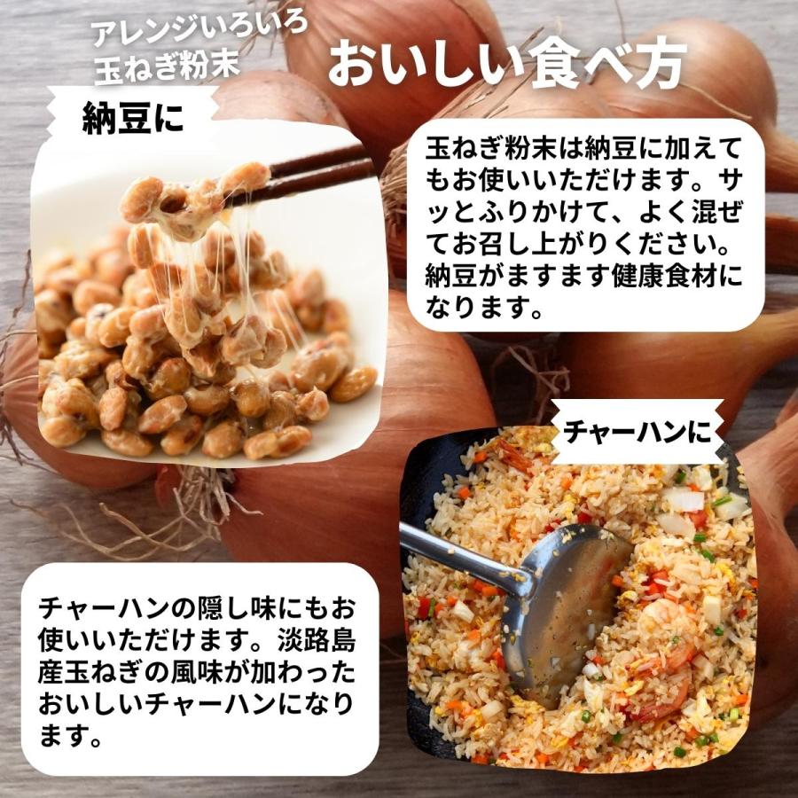 玉ねぎ粉末 1kg タマネギ 粉末 スープ たまねぎ オニオン パウダー