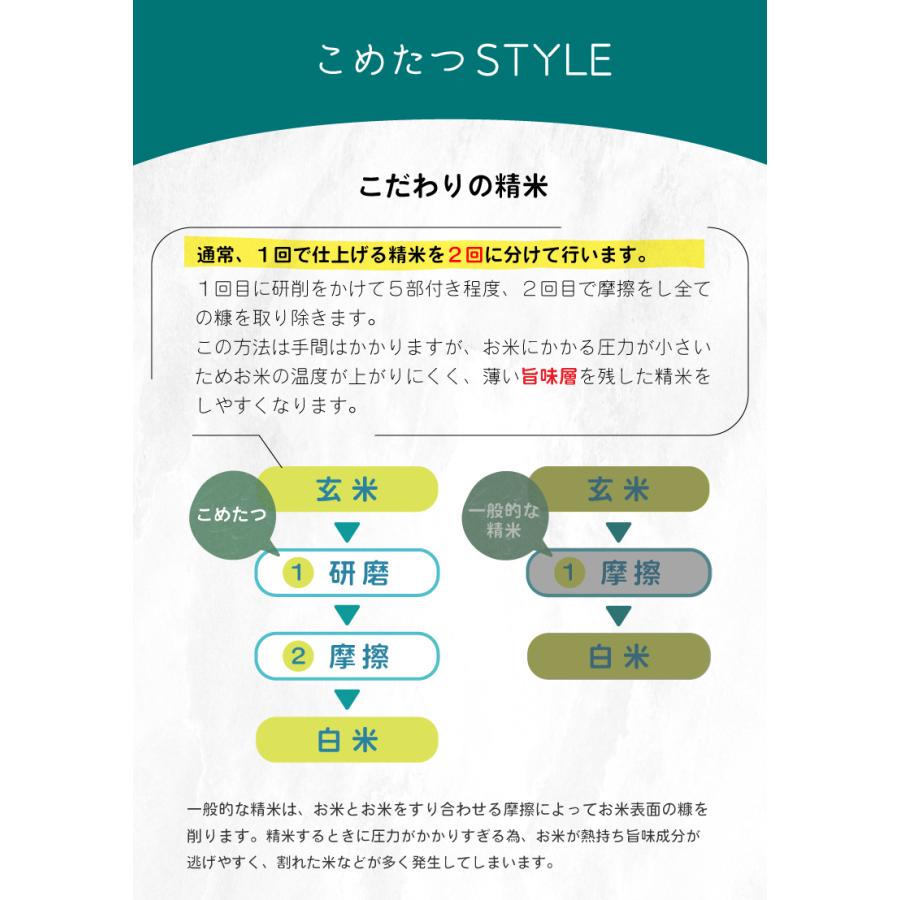 新米使用 米 お米 20kg ほほえみ 西日本産 オリジナル米 令和5年産米使用 精米20kg 訳あり米