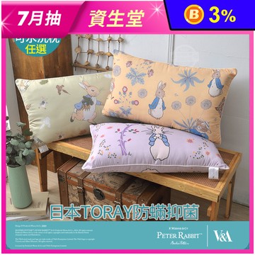 【PETER RABBIT】比得兔V&A博物館聯名抗菌枕 可水洗 台灣製造 枕頭