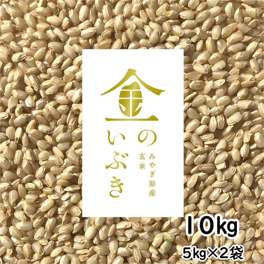 金のいぶき 玄米 10kg 令和4年産 玄米ダイエット 玄米食専用米 宮城県 5kg×2袋