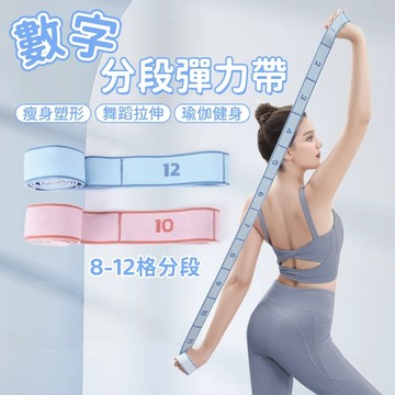 隔日到貨❣️瑜珈彈力帶 數字分段彈力帶 瑜珈拉伸帶 拉力帶 阻力帶 肌肉訓練帶 數字格多段 阻力帶 舞蹈帶 健身彈力帶