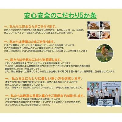 ふるさと納税 大府市 日本三大地鶏!! 「純系　名古屋コーチンの卵」(30個)