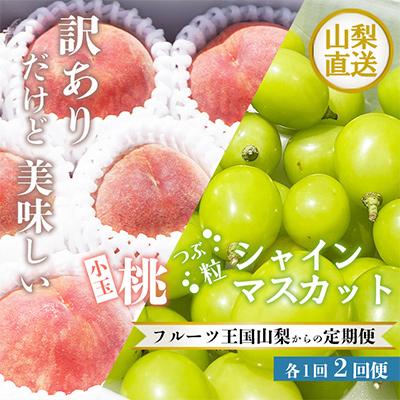 ふるさと納税 笛吹市 訳あり美味しい果物  小玉桃 粒シャインマスカット全2回