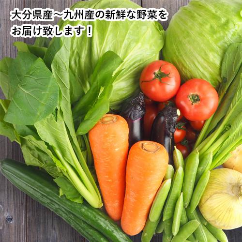 応援企画 新鮮な野菜詰め合わせを産地直送でお届け 野菜詰め合わせセット 爽食柑株式会社  送料無料