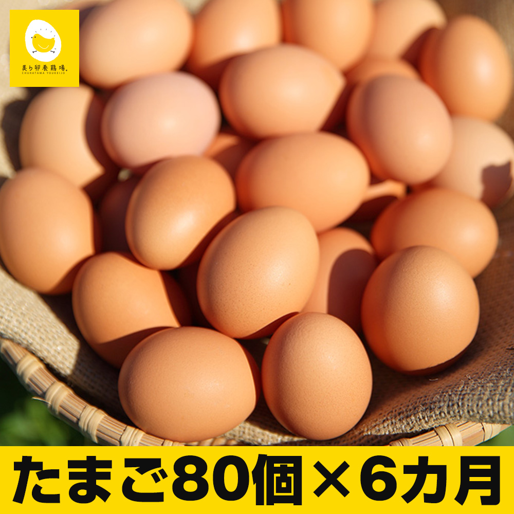 6ヵ月連続お届け　卵の黄身が掴めるほどの新鮮さ　美ら卵養鶏場の卵　各月80個