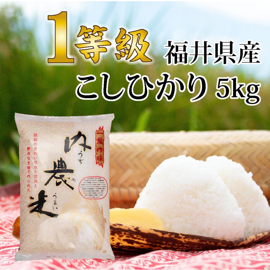 コシヒカリ 精米 5キロ 送料無料 令和5年度産 新米 1等級 福井県産 令和 おいしいお米 ふるさとの味