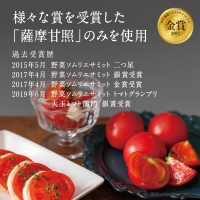 鹿児島県産 フルーツトマト 薩摩甘照ジュース 計1L（500ml×2本）