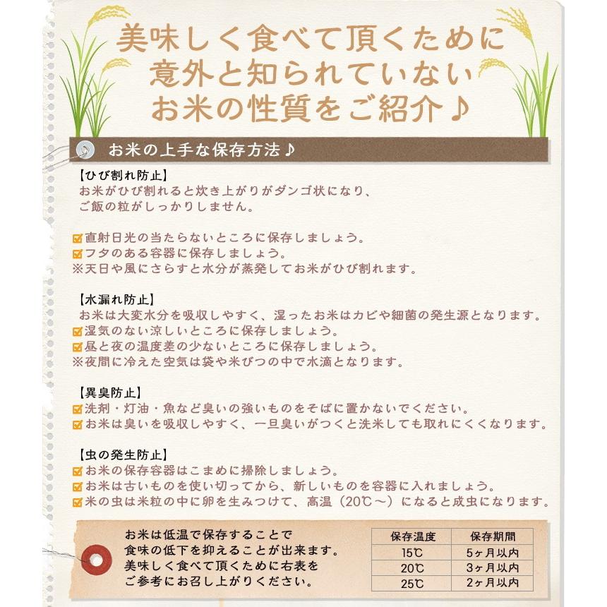 新米 米 10kg 5kg×2袋 コシヒカリ 福井県大野産 白米 令和5年産 送料無料