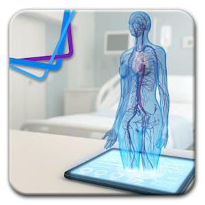 The Heart of the Matter: Exploring the Cardiovascular System