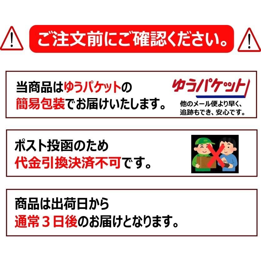 送料無料　ドライマンゴー　無添加 （食品添加物無し）　 1キロ(100g x 10袋)　ミスターマンゴーオリジナル