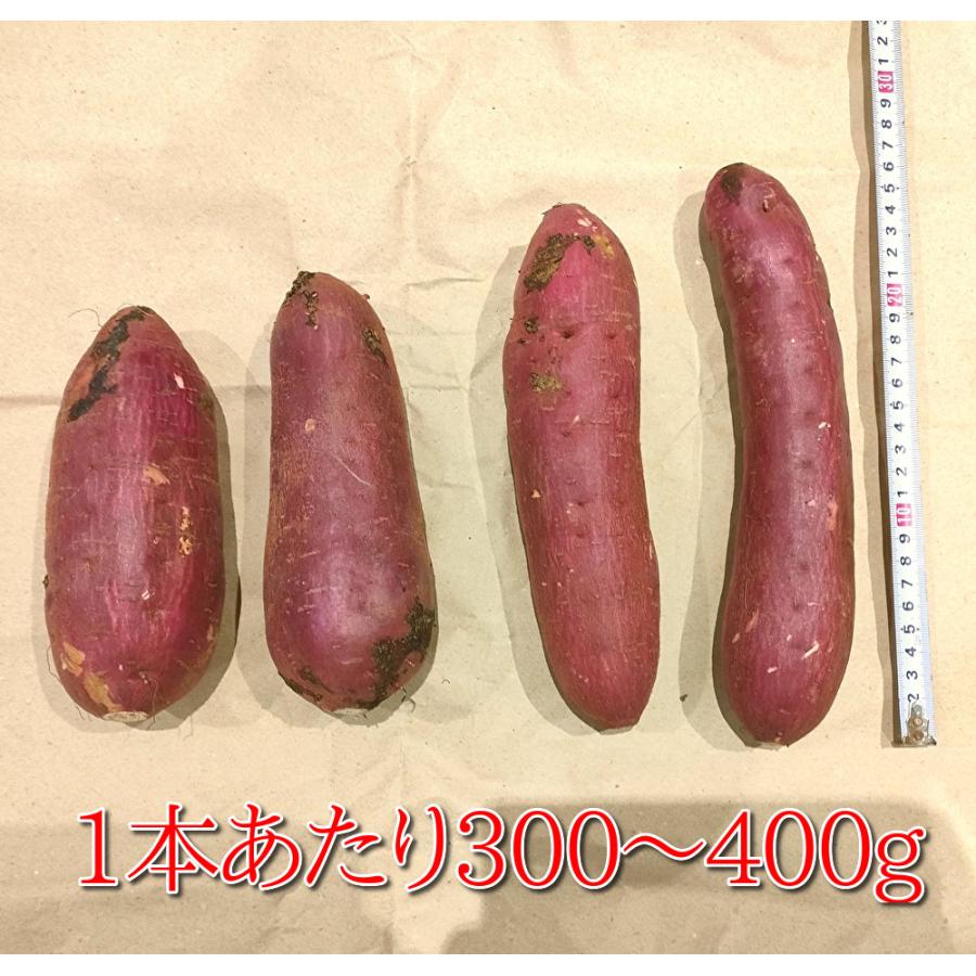 さつまいも 紅はるか 千葉県産 A級品 約4.5kg Lサイズ