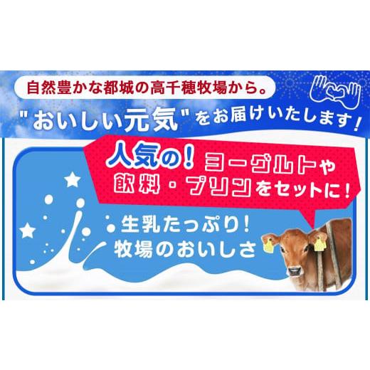 ふるさと納税 宮崎県 都城市 高千穂牧場ヨーグルトドリンクバラエティセット(プリン付き)_MJ-1609_(都城市) 乳製品 ヨーグルト 苺ヨ…