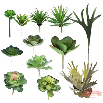 仿真多肉植物綠植小盆栽組合家居裝飾擺件人造植物多肉