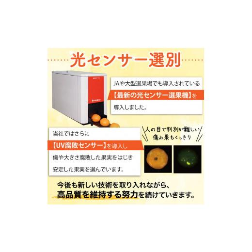 ふるさと納税 和歌山県 美浜町 ＼光センサー選別／こだわりの完熟有田みかん 約8kg◇ 有機質肥料100% ふるさと納税 ミカン※2023年11月中旬頃〜2024年1月上旬…