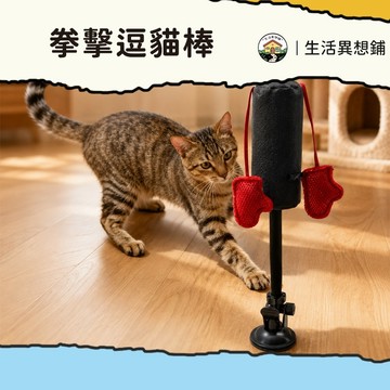 貓咪玩具 逗貓玩具 逗貓棒 拳套逗貓棒 貓玩具 貓咪拳擊玩具 吸盤拳擊逗貓棒 立柱逗貓拳套沙袋 貓咪自嗨玩具