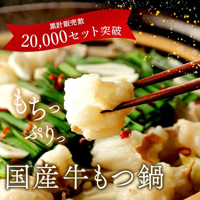 国産牛 もつ鍋 セット モツ 特製 醤油 スープ ちゃんぽん 麺 唐辛子 乾燥 にんにく ギフト 贈り物 お歳暮 送料無料 600g 