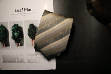 淺卡其色曲線條紋領帶氣質男商務正裝bolotie