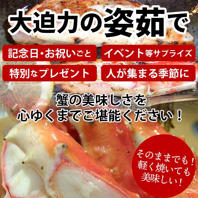 お歳暮 カニ ギフト 数量限定 送料無料 北海道産(オホーツク海)ちょっと訳有り タラバ蟹姿(堅蟹・2.5kg前後)   タラバガニ たらばがに タラバ 蟹 かに 訳あり