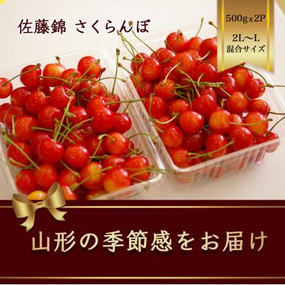 ふるさと納税 山形県 佐藤錦 さくらんぼ 2L〜L混合サイズ 500g×2パック バラ詰め