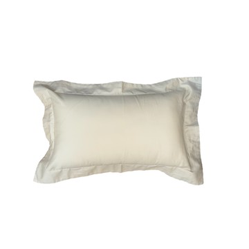 活動贈品｜壓框抱枕｜涼被｜40支天絲/200棉 小抱枕 午睡枕 趴睡枕