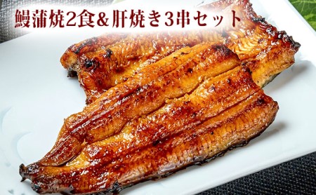 〈うなぎの篝火〉国産うなぎ真空パック蒲焼2食・鰻肝焼き3串セット 海の幸 