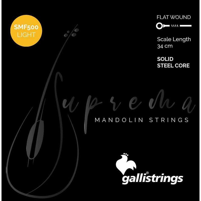 Gallistrings   SMF500 Light Chrome Steel マンドリン弦 .010-.031