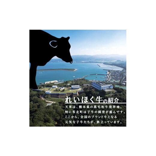 ふるさと納税 熊本県 苓北町 黒毛和牛 焼肉用 ロース カルビ 切り落とし 1kg A4〜A5ランク 焼肉のたれ 1本付