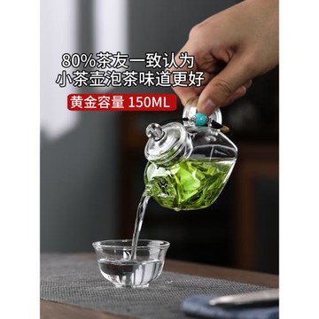 迷你泡茶玻璃小茶壺一人用小容量過濾四方綠茶專用泡茶器功夫茶具