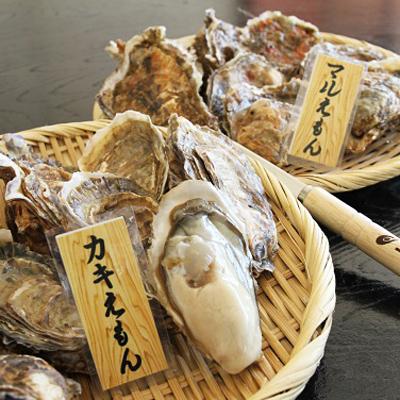 ふるさと納税 厚岸町 厚岸産『カキえもん』『マルえもん』食べ比べセット