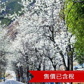 【醉美是梨】金川梨花季.四姑娘.丹巴.木格措8日含稅 (無購物無自費)-文化交流