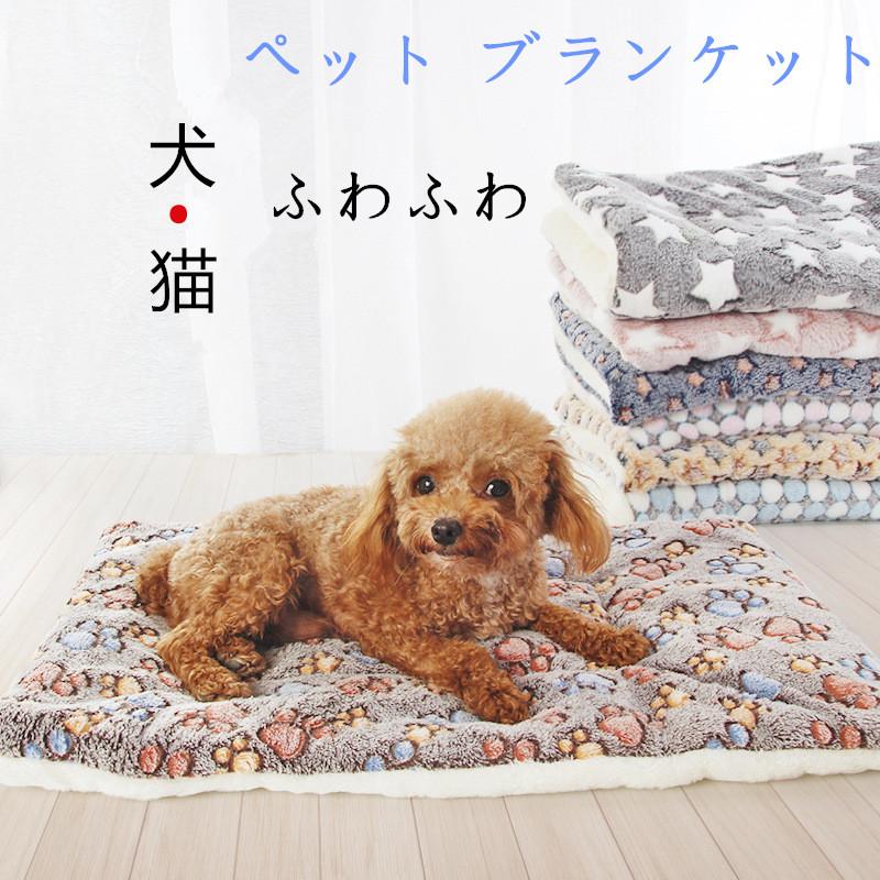 つぶらな瞳の犬と猫 みけねこ ブランケット入りクッション - 布団・毛布