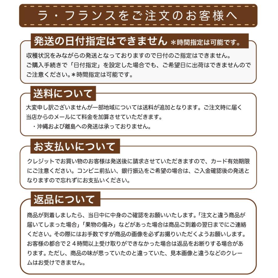 ラ・フランス 訳あり 5kg 送料無料 山形県産 ご家庭用 規格外 らふらんす 洋梨