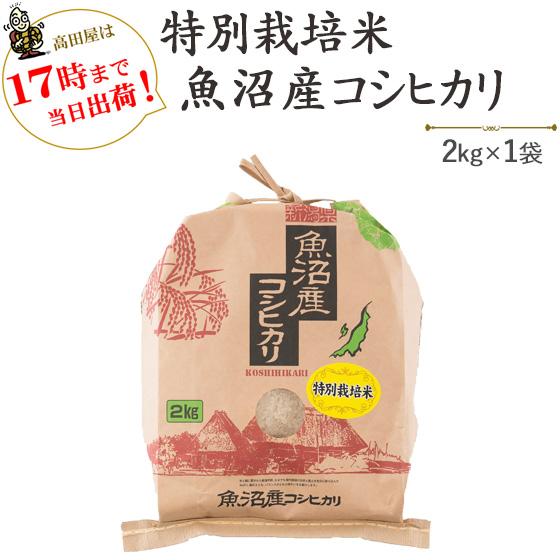 令和５年産　お米 2kg  津南町ゆきやまと農場限定！特別栽培米魚沼産コシヒカリ　2kg×1袋　※送料別途