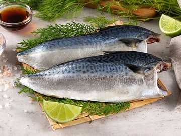 台灣薄鹽鯖魚