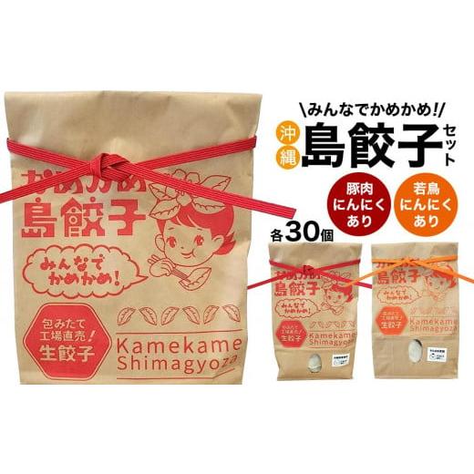 ふるさと納税 沖縄県 宜野湾市 餃子 冷凍 かめかめ島餃子（豚肉・やんばる若鶏／にんにくあり）（ 30個 × 2袋 ）