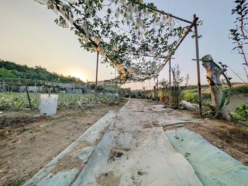 坔埔尖山有水電適合發展1日生活圈觀光農牧場一般農地｜高雄市鳥松區埔嶺段