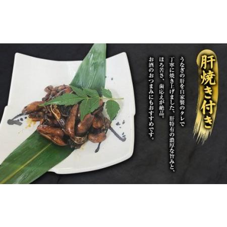 ふるさと納税 三河一色うなぎ蒲焼2尾 白焼2尾(肝焼き付き)うなぎ 蒲焼 愛知県幸田町