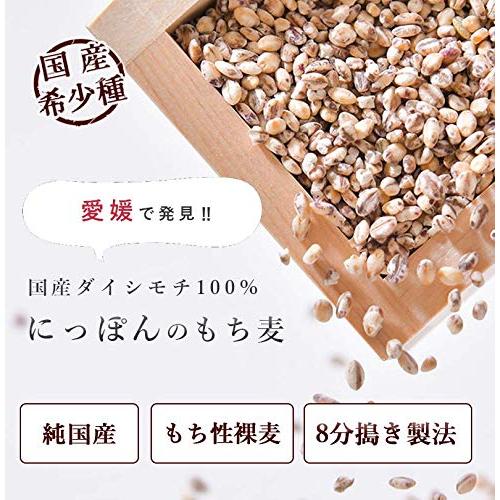 もち麦 国産 ダイシモチ100% 400g 2袋セット もち性もち麦 8分搗き製法 おいしいご縁