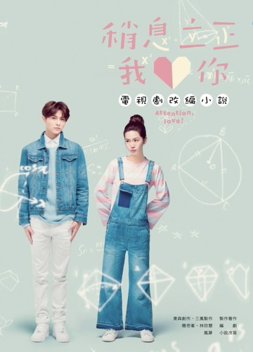 稍息立正我愛你電視劇改編小說[二手書_良好]