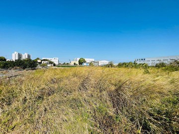 大雅大林路平坦農地｜台中市大雅區自強段