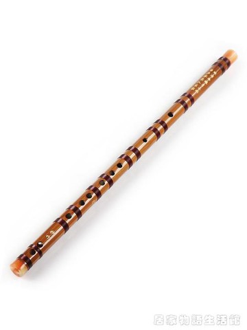 初學者入門零基礎一節苦竹笛子學生成人兒童男女橫笛教學陳情笛子居家物語 99購物節