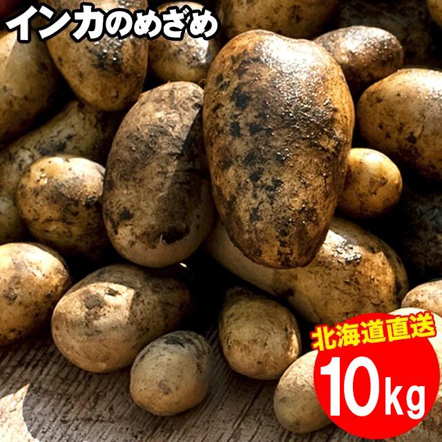 出荷開始中 新じゃがいも 送料無料 北海道産 インカのめざめ（Sサイズ以上）1箱10キロ入り   10kg １０ｋｇ お取り寄せ インカの目覚め いんかのめざめ