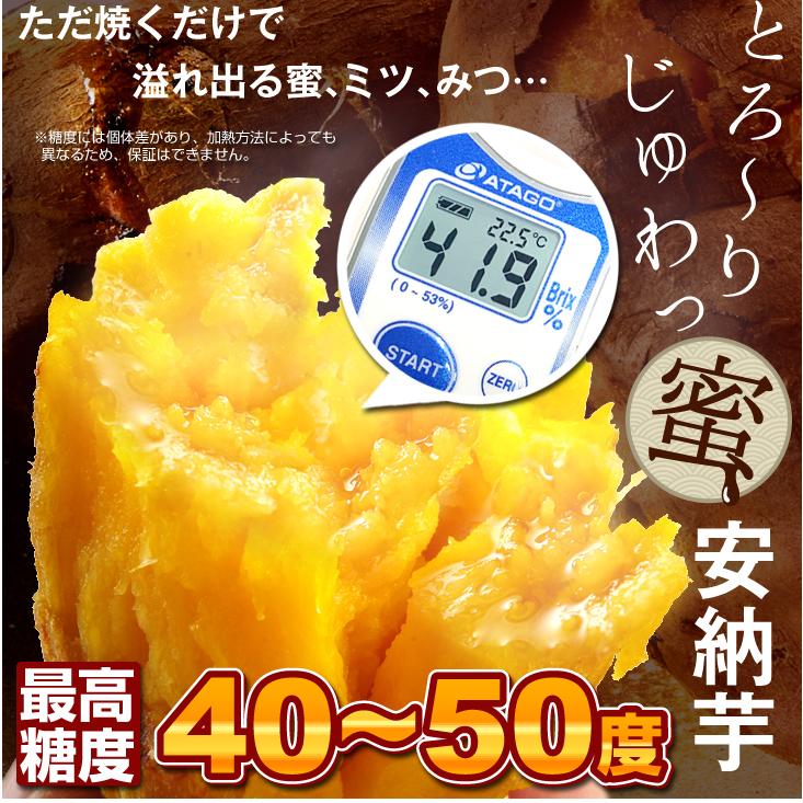 さつまいも 5kg 種子島産 安納芋 送料無料 食品