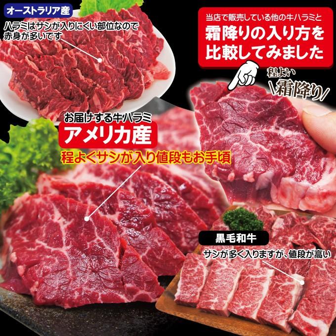 霜降り厚切り牛肉ハラミ500ｇ冷凍　米国産 焼肉 はらみ 和牛や国産に負けない味わい