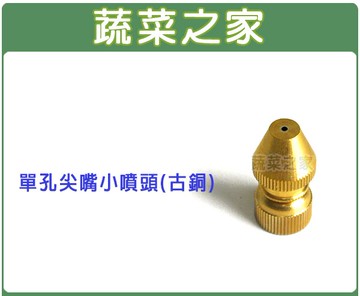【蔬菜之家007-C29】(噴霧桶專用)單孔尖嘴小噴頭(古銅)