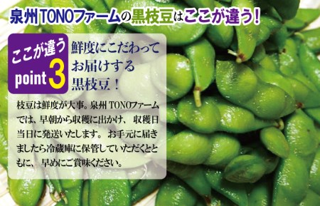 畑から直送・朝採り黒枝豆1.8kg