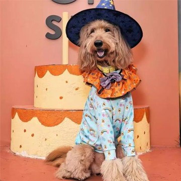 DOG DEPT清新維尼高領保暖衣不粘毛除靜電四腳褲金毛杜賓大狗衣服