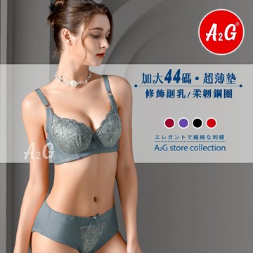 【A2G】隔日到貨【D罩杯、加大44碼】台灣出貨 調整型內衣 高脅邊 側邊加高 雙色刺繡 薄杯襯墊 集中包覆 1358