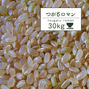 新米 米 30kg 青森県産 5年産 つがるロマン 玄米30kg青森ロマン