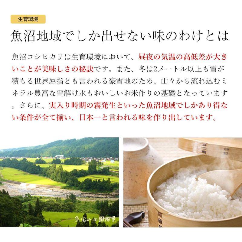 令和4年産 新潟産 魚沼産コシヒカリ こしひかり お米 白米 贈答 ギフト 発送直前に精米 (白米10kg)